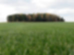 bg-accueil.jpg