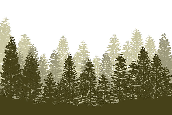 arbres_background.jpg