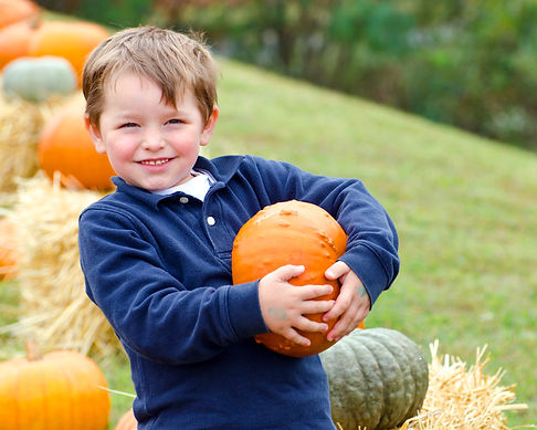 Enfant_cueillette_citrouilles_Verger_Lab