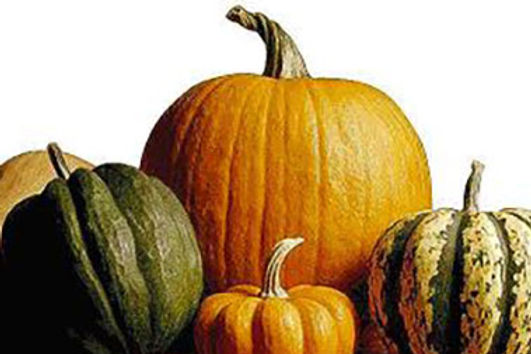 Courges d'hiver et Citrouilles