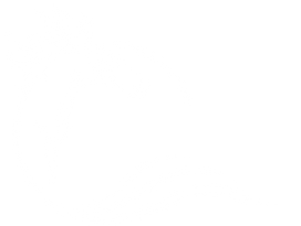 cheval_blanc_icon.png