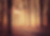 trees-6170156_1920.jpg