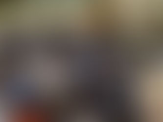 Suriname Insight 2023 – Trade Mission to Paramaribo