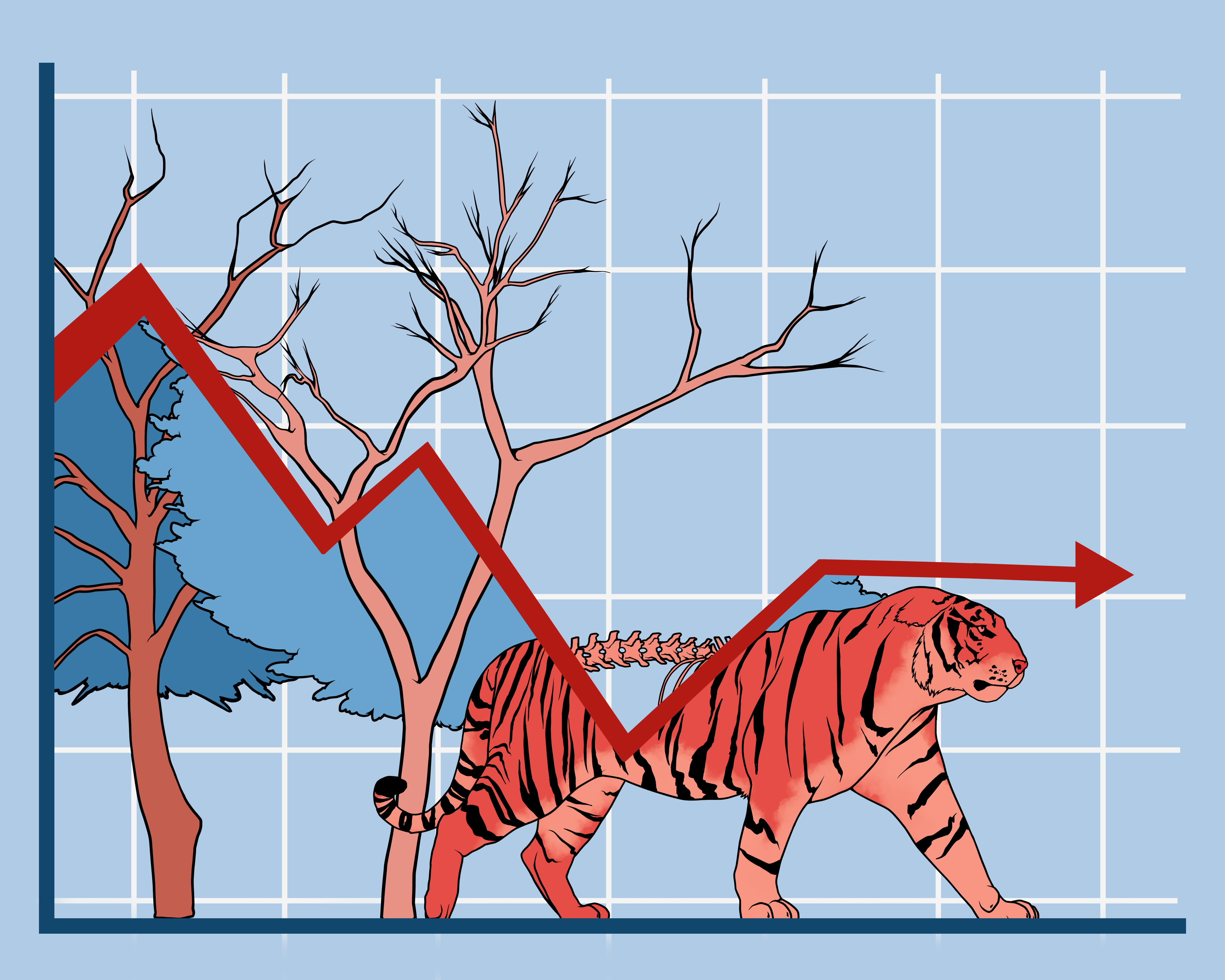 Tiger walking in front of a declining line graph with bare trees in the background.