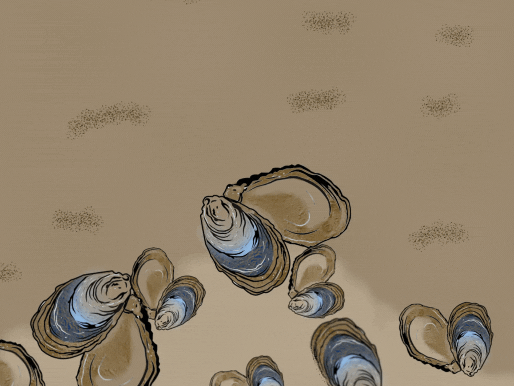 Oysters fighting water pollution by Aveera Juss