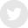 icon-g-twitter
