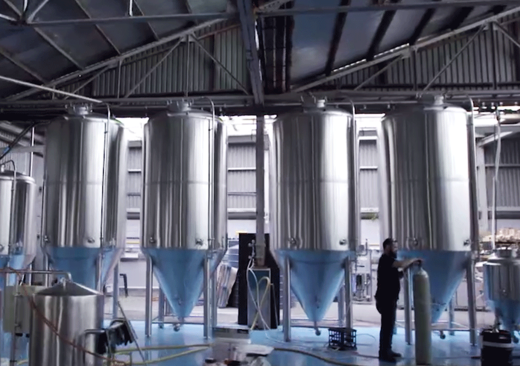 PlexiSun-natural-daylighting-at-Ballistic-Beer-Company.gif