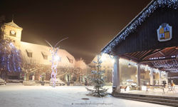 PLACE GROS TILLEUL