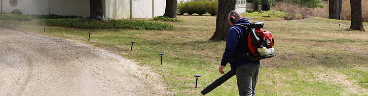 Regular landscape maintenance and leaf blowing