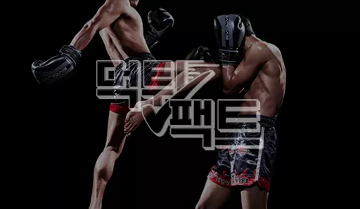 메이저놀이터 먹튀팩트