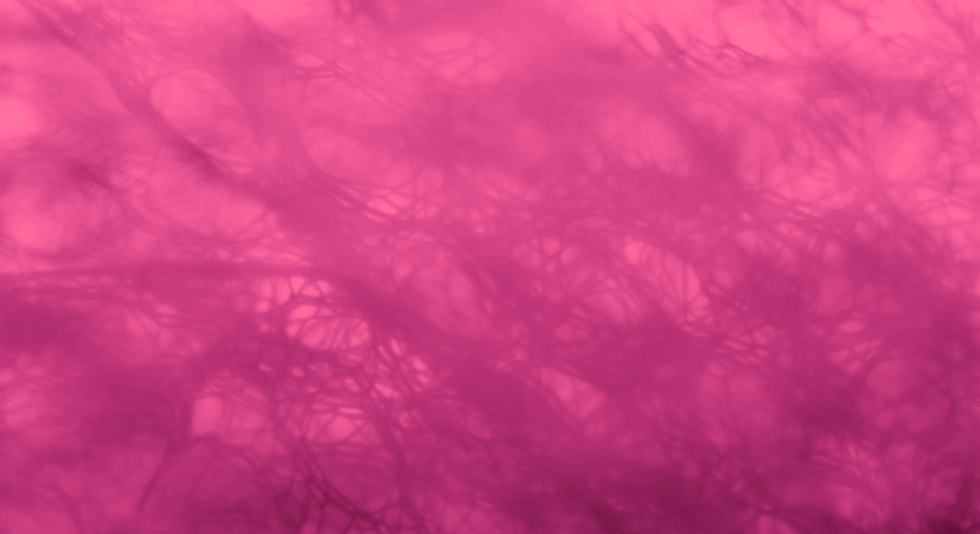 68793ab6d7.png