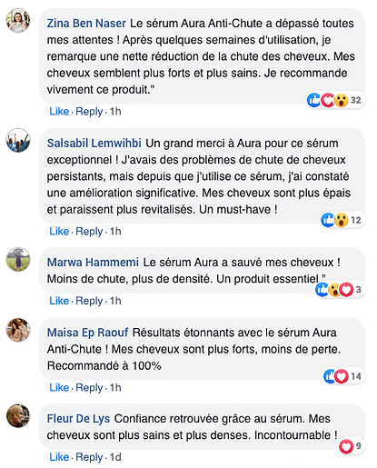 Capture d’écran 2024-01-16 à 15.31.09.png