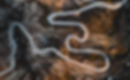 Route de montagne