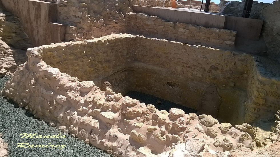 El Campello. Yacimiento de la Illeta dels Banyets (9.07 (9)