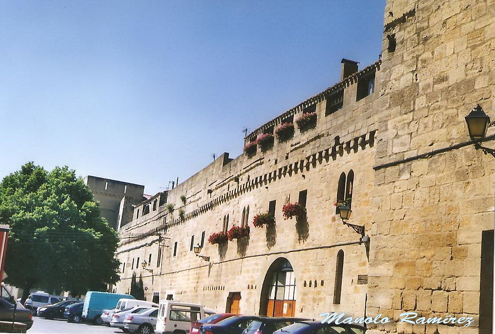 Laguardia. Murallas (P)