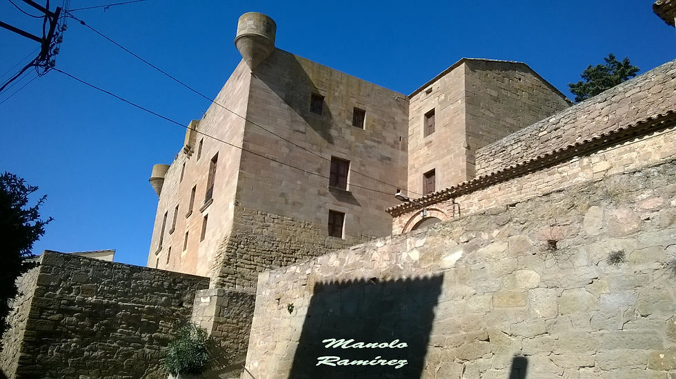 Montclar. Castillo (marzo 2.017) (18)