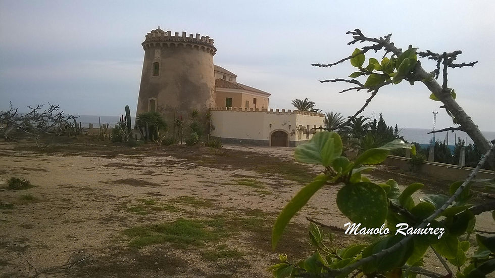 Pilar de la Horadada. Torre de la Horadada. 06.02.2016 (13)