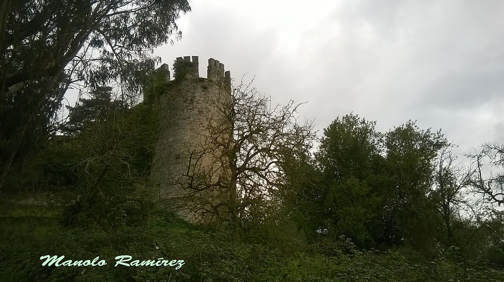 Sarria. Castillo (Torre del Batallón) -25.02.2016- (3)