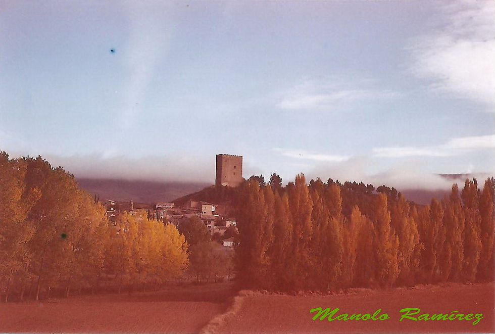 Navardún (Zaragoza). Torre (P) 001