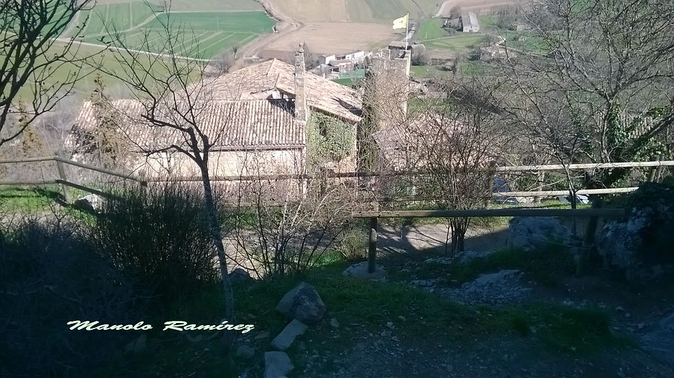 Montsonis (marzo 2.,017) (15)