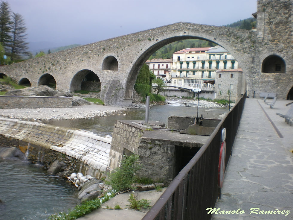 Camprodón._Puente_medieval_(P)