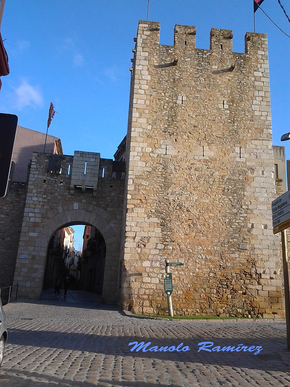 Montblanc. Portal  de San Antonio