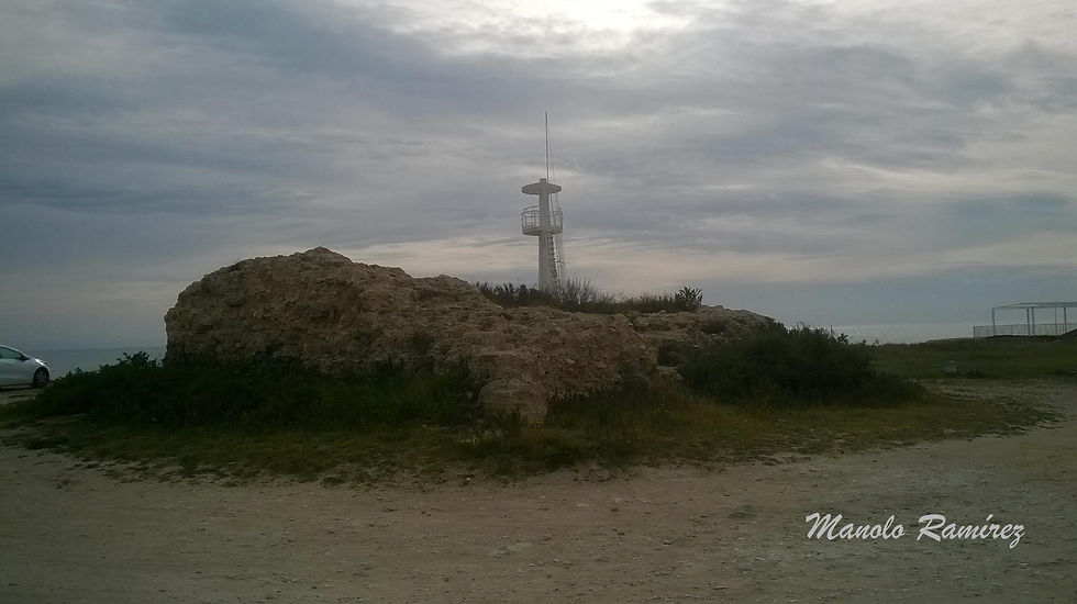 La Marina. Torre del Pinet. 6.02.2016 (6)