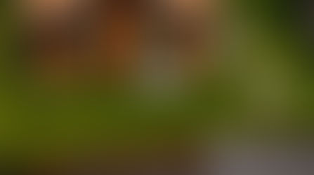 Sellers Ask Premium For One-Of-A-Kind Homes