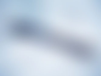 Employment Contracts