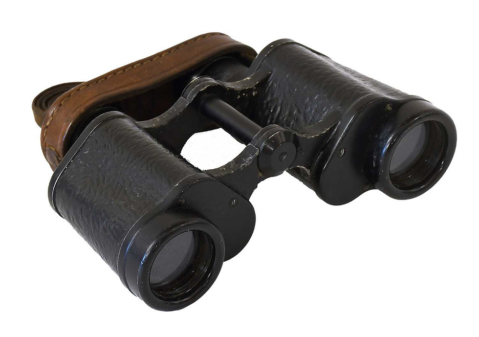 Thumbnail: A Rare Pair of Second World War 6 x 30 Dienstglas (Binoculars) by Dow (Opticotec