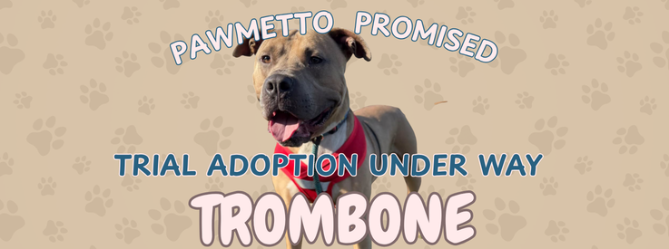Trombone