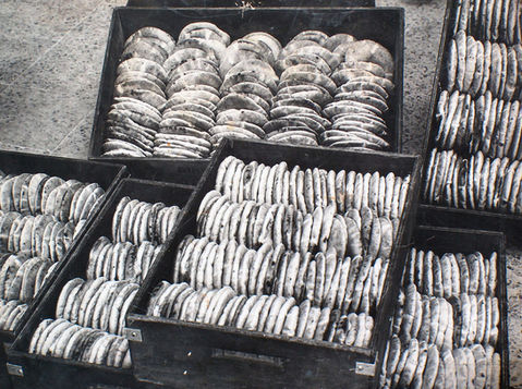 Stacks of freshly baked POLKA oatcakes