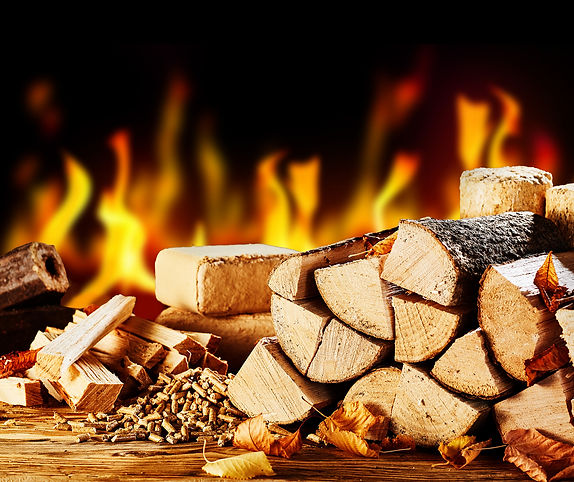 shutterstock_1206977704s.jpg