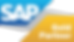 900-9006144_sap-gold-partner-logo-sap-pa