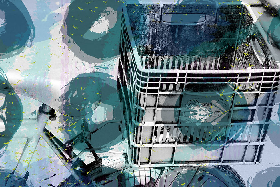 תמונה ממוזערת: אופניים עם צורות עגולות בגווני כחול-סגול