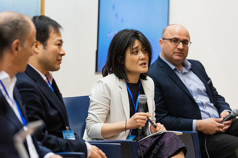 Woman speaker at Israel-Japan-Gulf conference