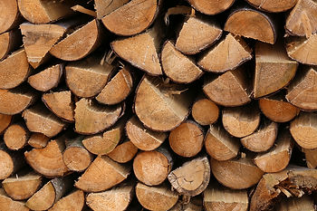 shutterstock_1687818292S2.jpg