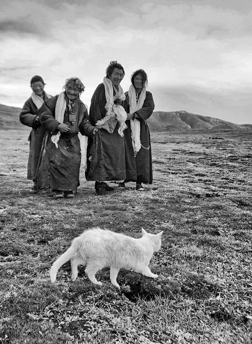 Tibetan nomands with white catFB