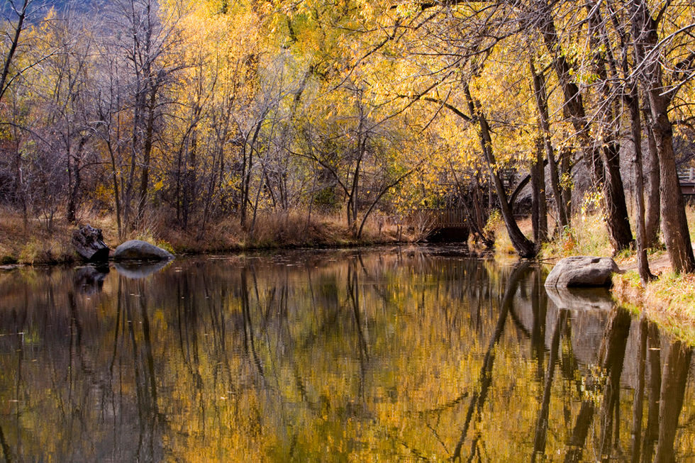 Fall Reflecxtions, Colorado