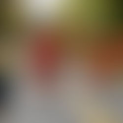 ⚙️ Триває середа - санітарний день 🧹