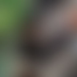 Ремонтные работы 👨🔧