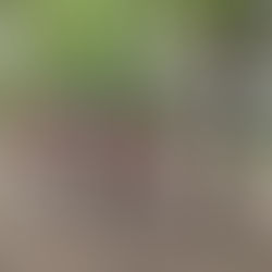 Санитарная среда ✨