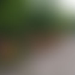 Традиционно в среду проводим Санитарный день✨