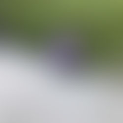 УК "Сервис плюс"