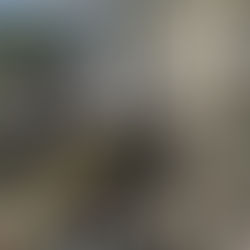 🏡 Шевченка, 8/1