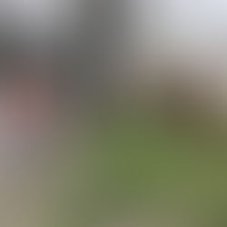 Традиционная толока ✨