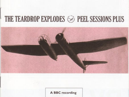 The Teardrop Explodes – Peel Sessions Plus (2007)