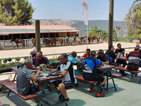 קבוצת אנשים אוכלים בפיקניק, סוסים ברקע