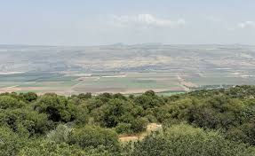 נוף עמק פסטורלי בגליל עם שדות ירוקים והרים