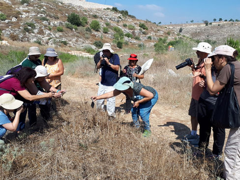 הסיפור של קהילת מנטרי הפרפרים